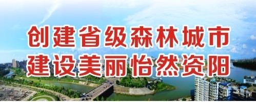 啊啊啊太爽了用力了插视频创建省级森林城市 建设美丽怡然资阳